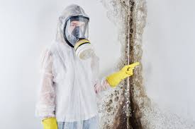 Best Basement Mold Removal in Wautoma, WI